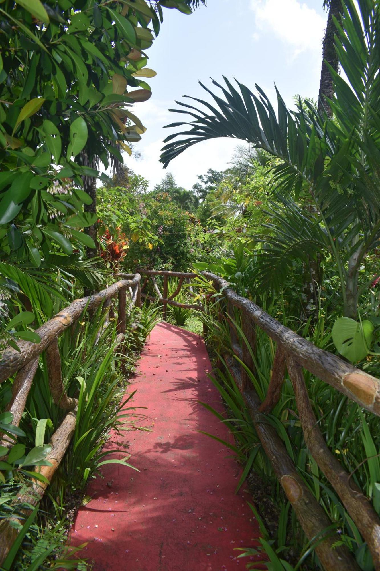 Hotel Roca Negra Del Arenal La Fortuna Exterior foto