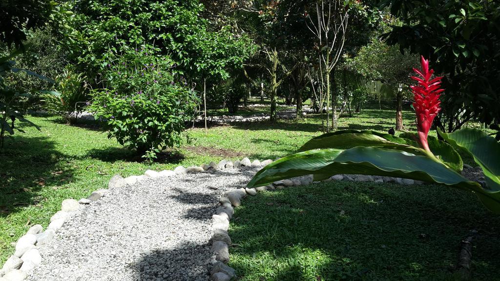 Hotel Roca Negra Del Arenal La Fortuna Exterior foto